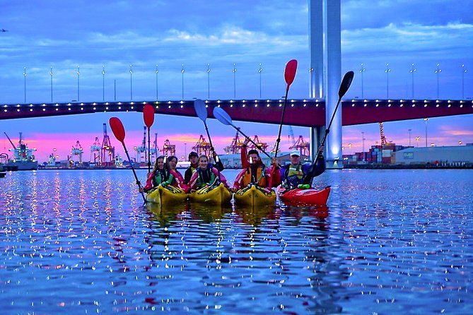 Melbourne City Twilight Kayak Tour - Upstream past the gardens, MCG, and Herring Island