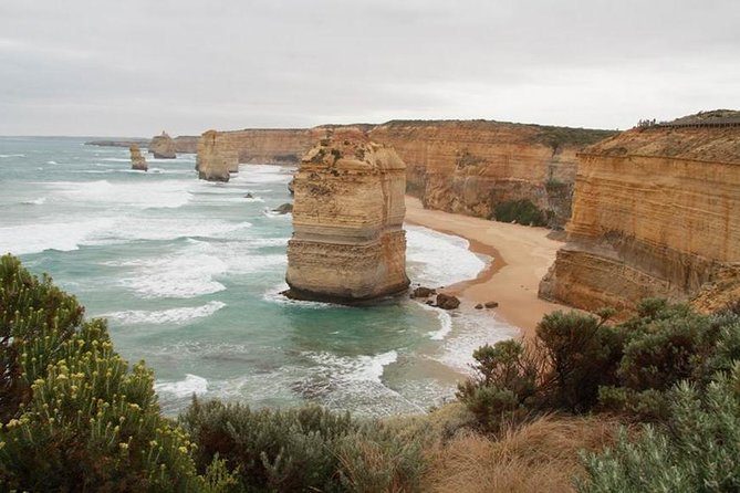 Melbourne Combo: Great Ocean Road Day Trip and Phillip Island Day Trip from Melbourne - Phillip Island: wildlife before the penguins arrive
