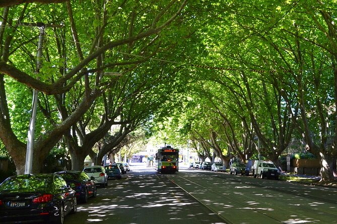 Melbourne Drive by Day - Private Tour - What the private vehicle adds