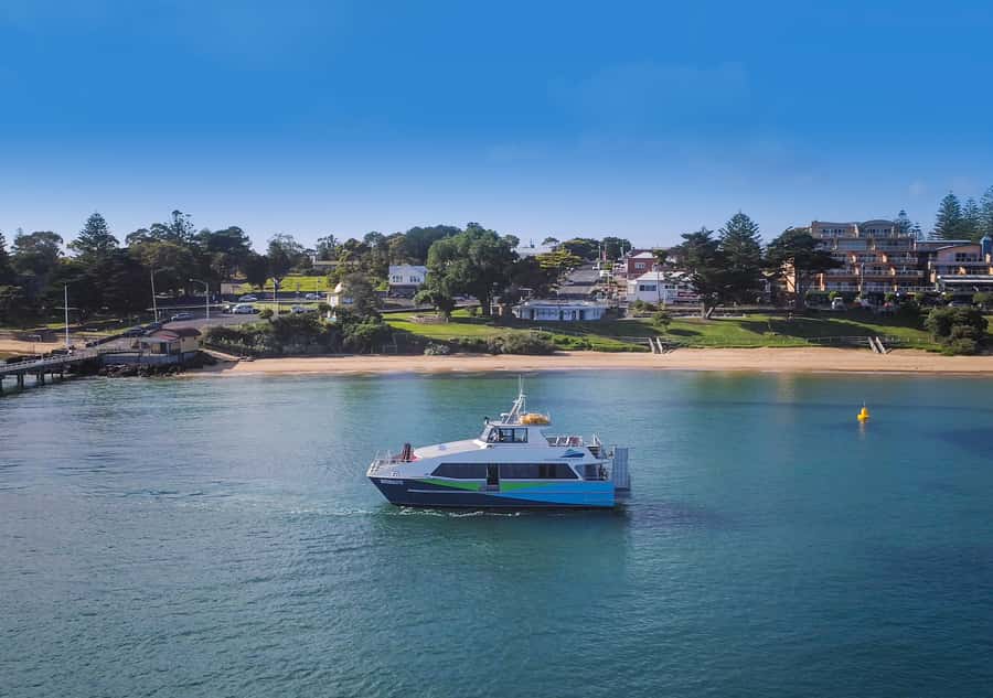 Melbourne: French and Phillip Island Wildlife Expedition - Why this day trip works so well