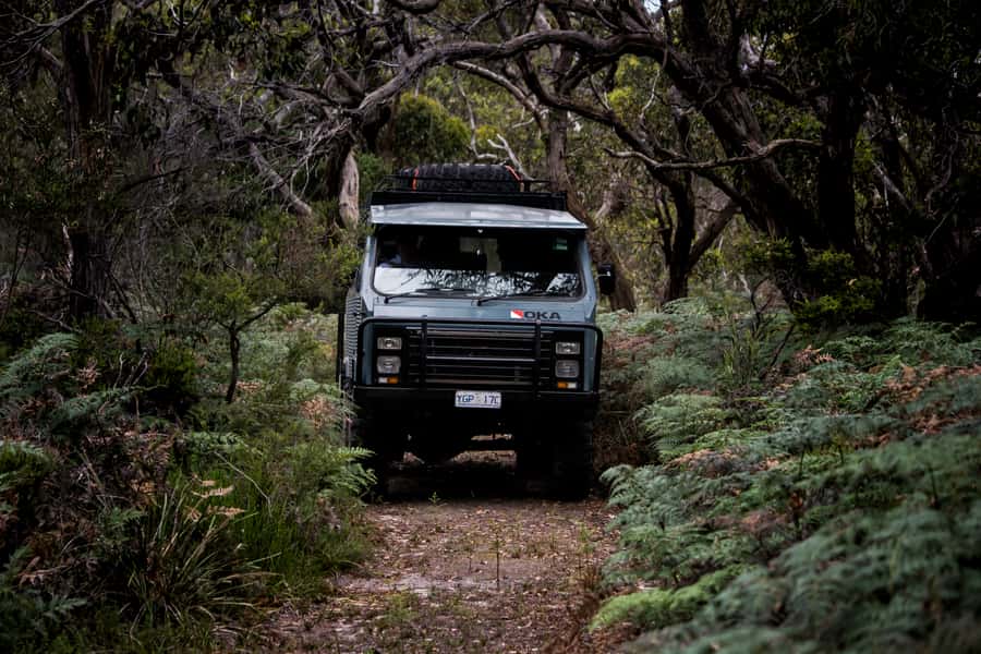 Melbourne: French and Phillip Island Wildlife Expedition - A farm gate meal with a local feel