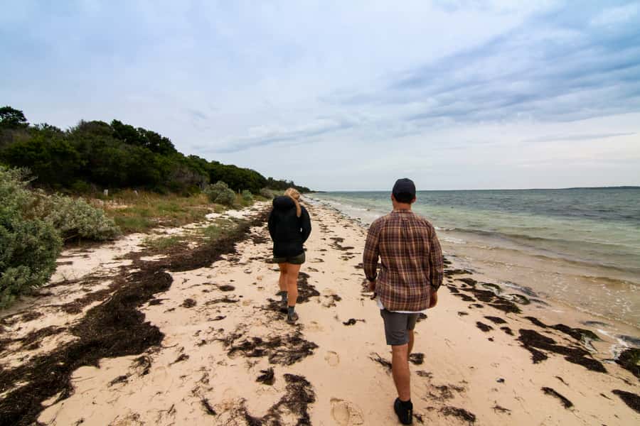 Melbourne: French and Phillip Island Wildlife Expedition - Who should book this experience
