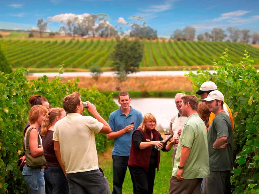 Melbourne: Full-Day Yarra Valley Wine Experience with Lunch - Balgownie Estate brings lunch and a bigger setting