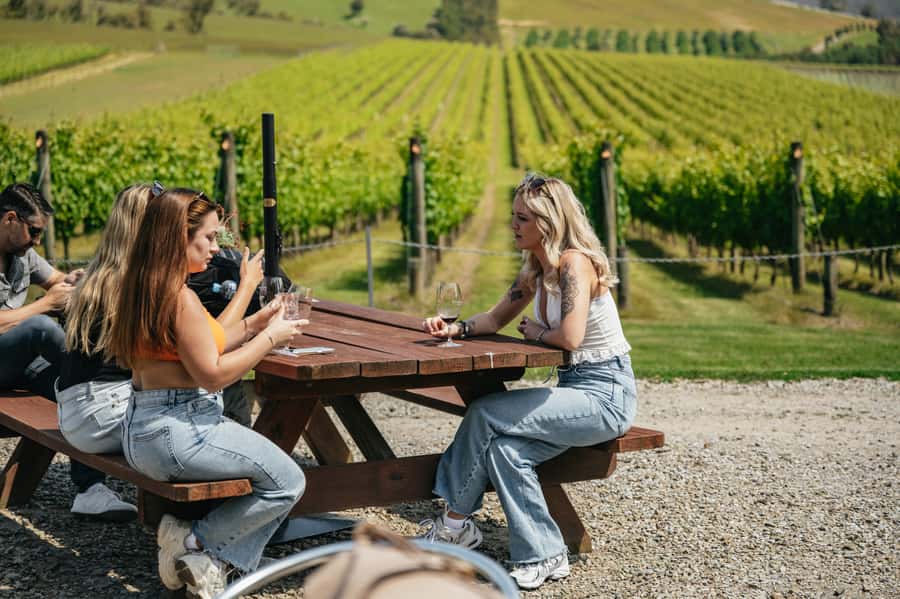 Melbourne: Full-Day Yarra Valley Wine Experience with Lunch - Greenstone starts the tasting lesson