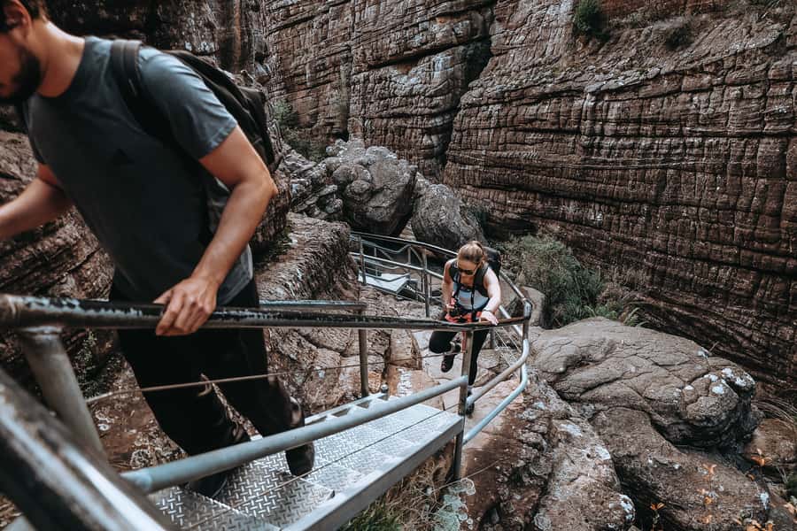 Melbourne: Grampians Day Tour - Halls Gap, kangaroos, and a little local character