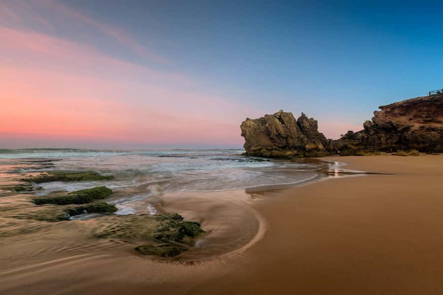 Melbourne: Great Ocean Road Day Tour with kangaroos & koalas - What a $75 Great Ocean Road day really covers