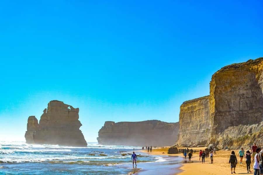 Melbourne: Great Ocean Road Full Day Private Tour - Kennett River and the chance to see wildlife