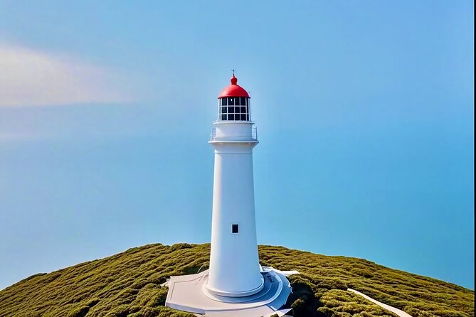 Melbourne: Great Ocean Road Luxury Coach Reverse Tour - The Great Otway stop adds forest and wildlife