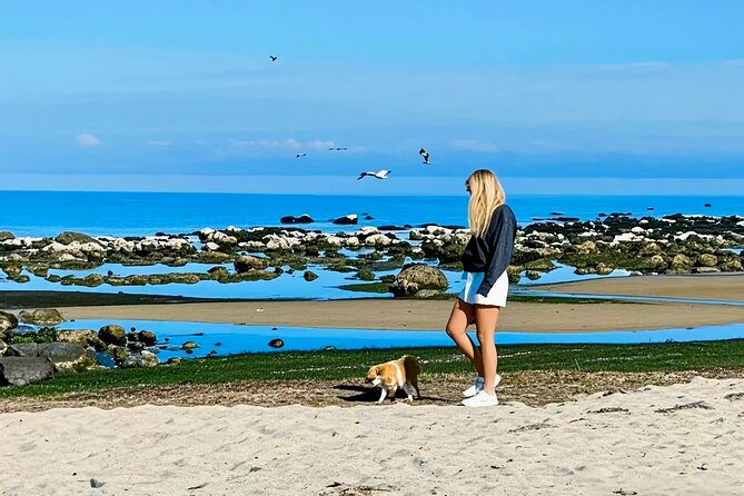 Melbourne: Great Ocean Road Luxury Coach Reverse Tour - The Twelve Apostles deserve the full hour
