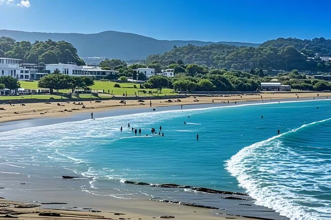 Melbourne: Great Ocean Road Luxury Coach Reverse Tour - Is $84.63 good value?