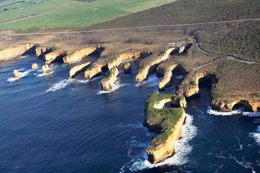 Melbourne: Great Ocean Road Max Highlights & London Bridge - Searching for koalas near Apollo Bay