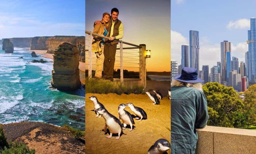 Melbourne: Great Ocean Road, Penguin Parade & Free City Tour - Day 2: Brighton, Moonlit Sanctuary, and the penguin parade