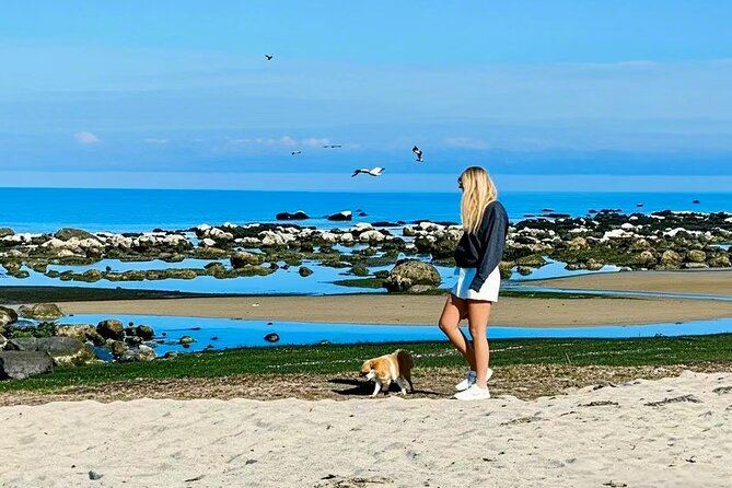 Melbourne Great Ocean Road Reverse Tour + London Bridge wildlife - Why this reverse Great Ocean Road route makes sense