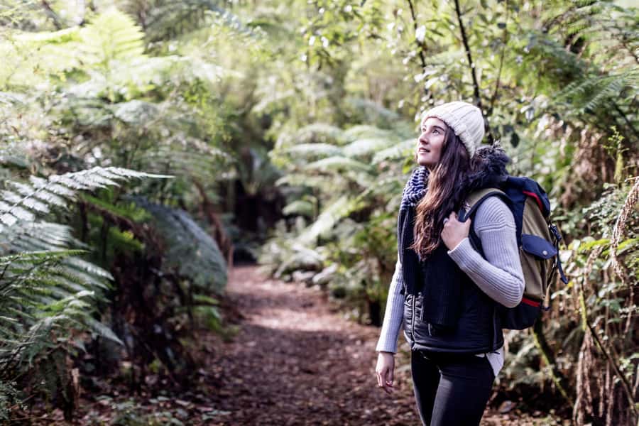Melbourne: Great Ocean Road Ultimate 12 Apostles with Lunch - Searching for koalas and kangaroos along the coast