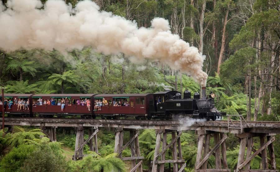 Melbourne: Half-Day Puffing Billy Steam Train Experience - Who will enjoy this tour most?