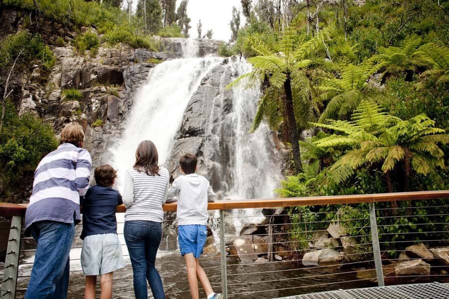 Melbourne: Lake Mountain Snow Day and Waterfalls & Chocolate - Why this Lake Mountain day trip works