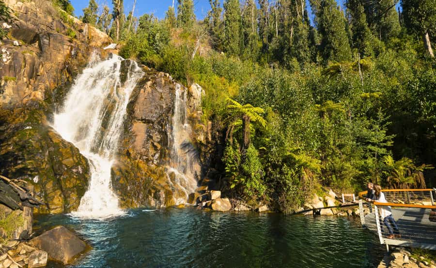Melbourne: Lake Mountain Snow, Waterfall & Chocolaterie Tour - Transport, group size, and return time
