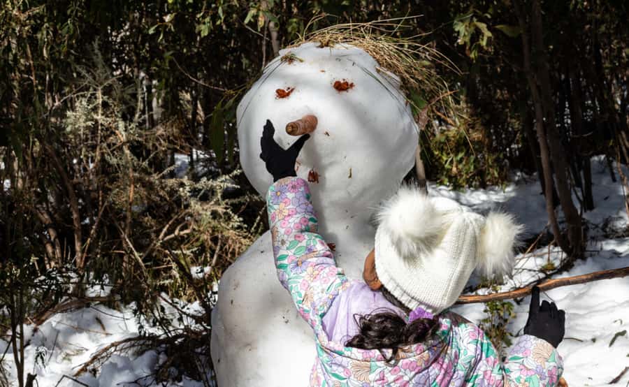 Melbourne: Lake Mountain Snow, Waterfall & Chocolaterie Tour - Is $123 good value?