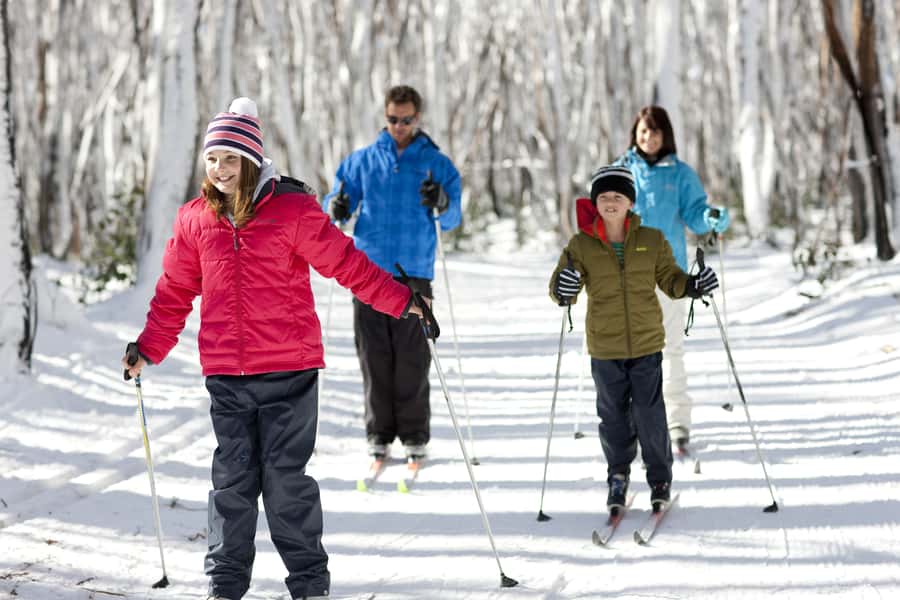Melbourne: Lake Mountain Snow & Waterfalls Guided Tour - Should you book it?