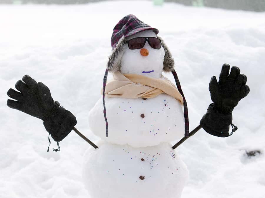 Melbourne: Lake Mountain Snow & Waterfalls Guided Tour - Three hours of snow at Lake Mountain
