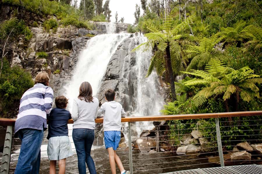 Melbourne: Lake Mountain Snow & Waterfalls Guided Tour - What the bus ride and guides add