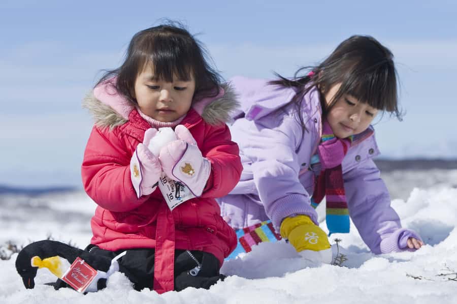 Melbourne: Lake Mountain Snow & Waterfalls Guided Tour - Is $111 good value?