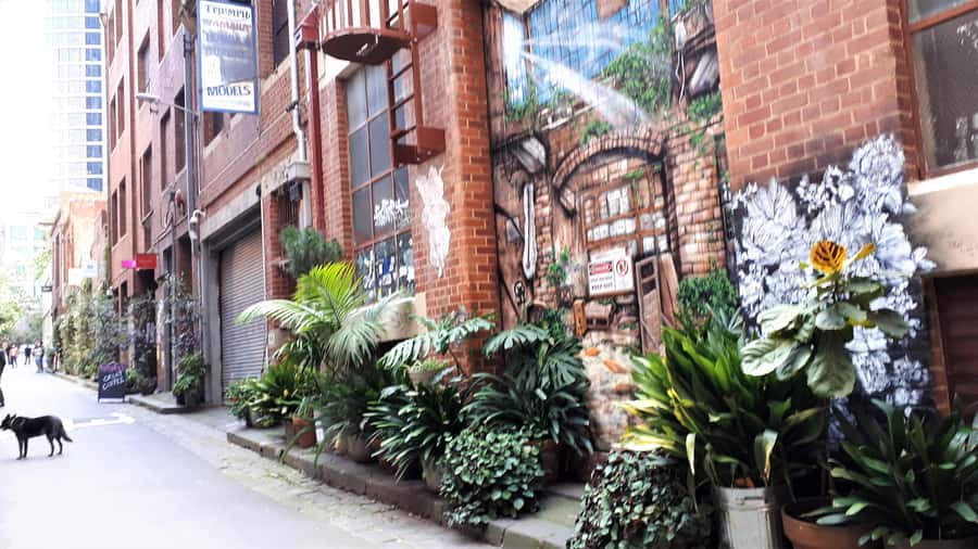 Melbourne Laneways Tour - Why the small group and guide matter