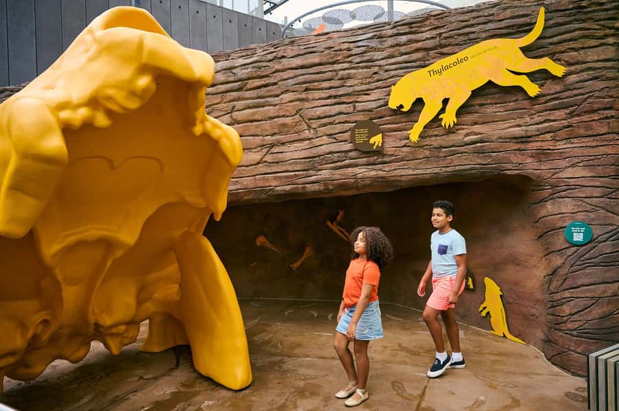 Melbourne: Melbourne Museum Entry Ticket - Key points to know before you go
