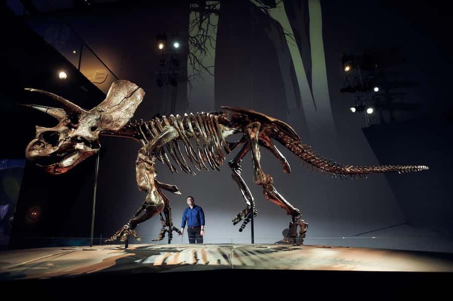 Melbourne: Melbourne Museum Entry Ticket - Meeting Horridus, the 87 percent real Triceratops