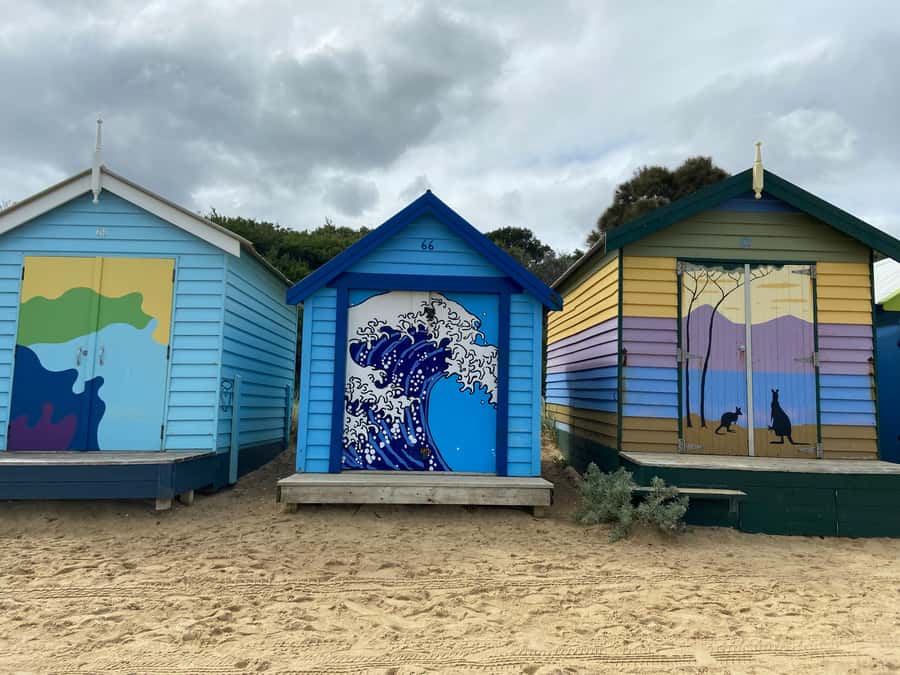 Melbourne: Moonlit Sanctuary and Brighton Beach Boxes Tour - Key points to know before booking