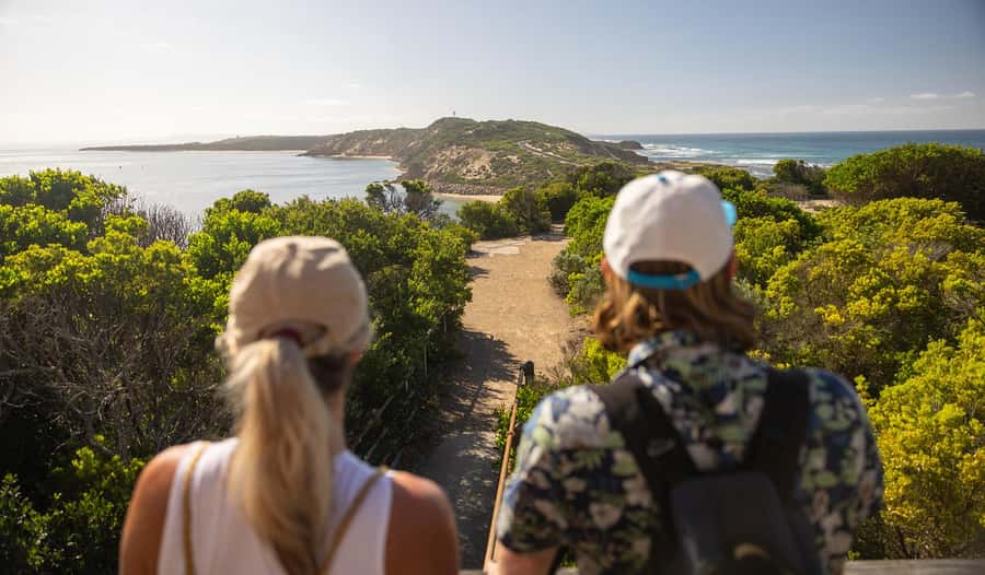 Melbourne: Mornington Peninsula Southern Coast Discovery - Cape Schanck brings the wild coast closer