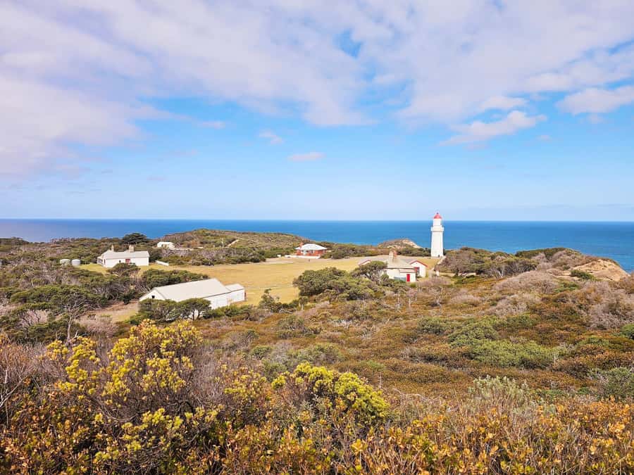 Melbourne: Mornington Peninsula Southern Coast Discovery - Is $88 good value for a full day?