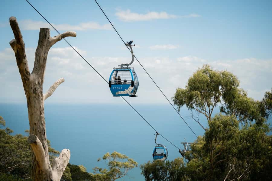 Melbourne: Mornington Peninsula Southern Coast Discovery - Should you book it?