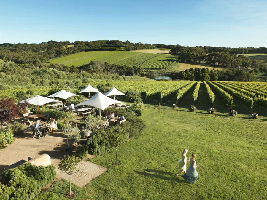 Melbourne: Mornington Peninsula Wine Day Tour - Why Mornington Peninsula Works as a Day Trip
