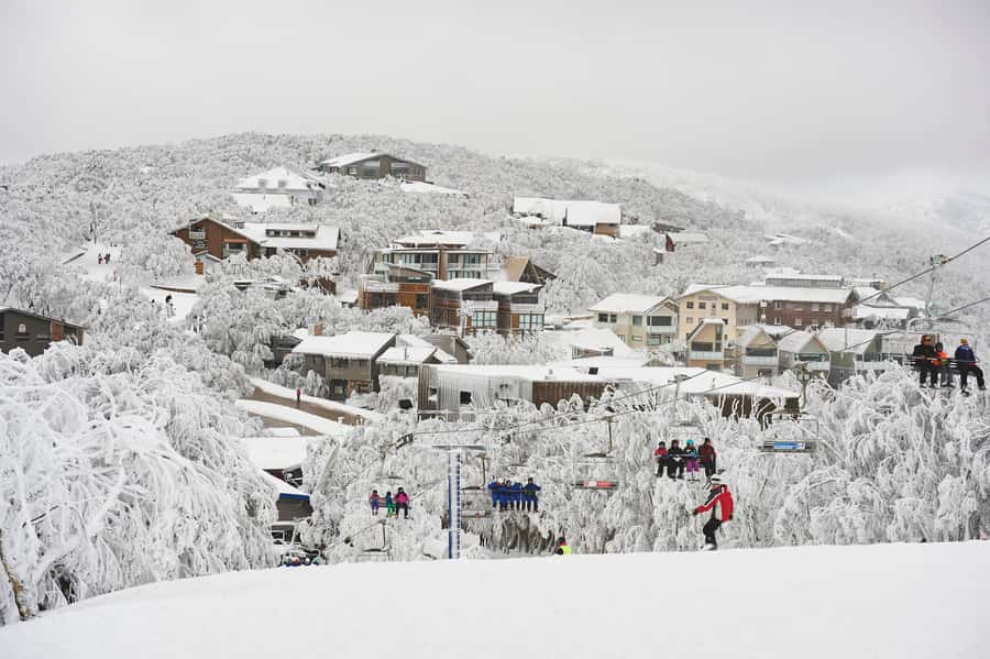 Melbourne: Mt Buller Snow Tour-Save on Hire & True 5 Hrs Fun - Who should book this Mt Buller trip