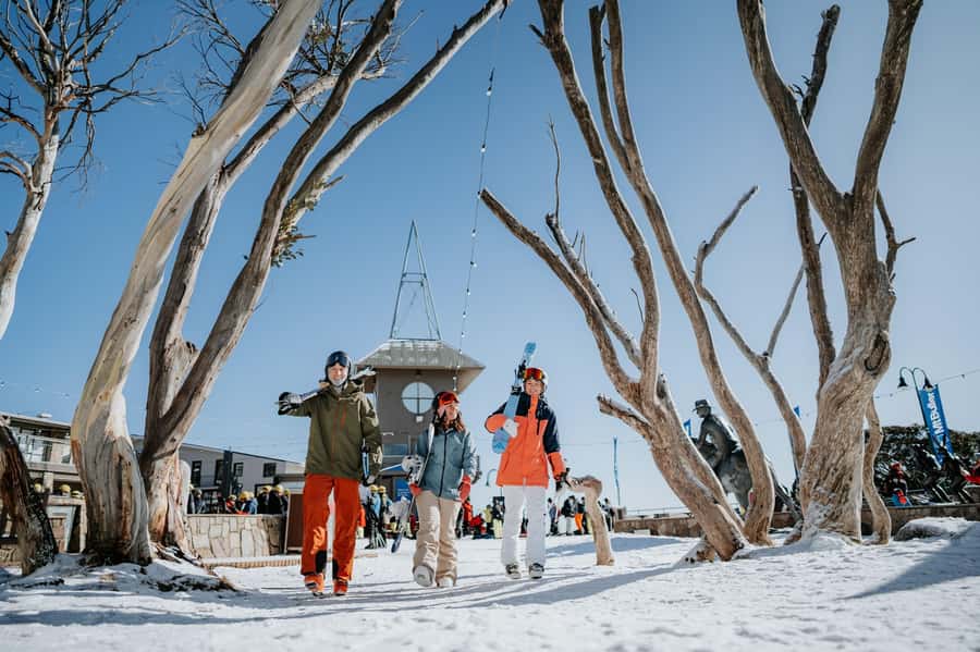 Melbourne: Mt Buller Snow Tour-Save on Hire & True 5 Hrs Fun - Should you book it?