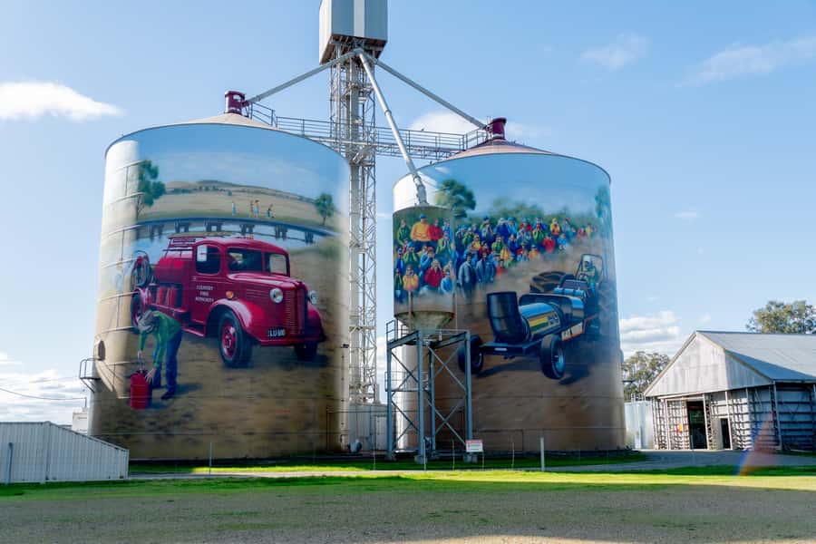 Melbourne: Murray River Paddle Steamer, Wildlife & Silo Art - Pink Cliffs Reserve and its unusual colours