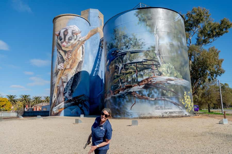 Melbourne: Murray River Paddle Steamer, Wildlife & Silo Art - Is $119 good value?