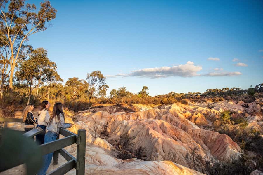 Melbourne: Murray River Paddle Steamer, Wildlife & Silo Art - Who should book this day trip?