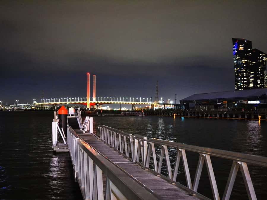 Melbourne: Nighttime Private City Tour with Transfer & Stops - Docklands and the Marvel Stadium photo stop