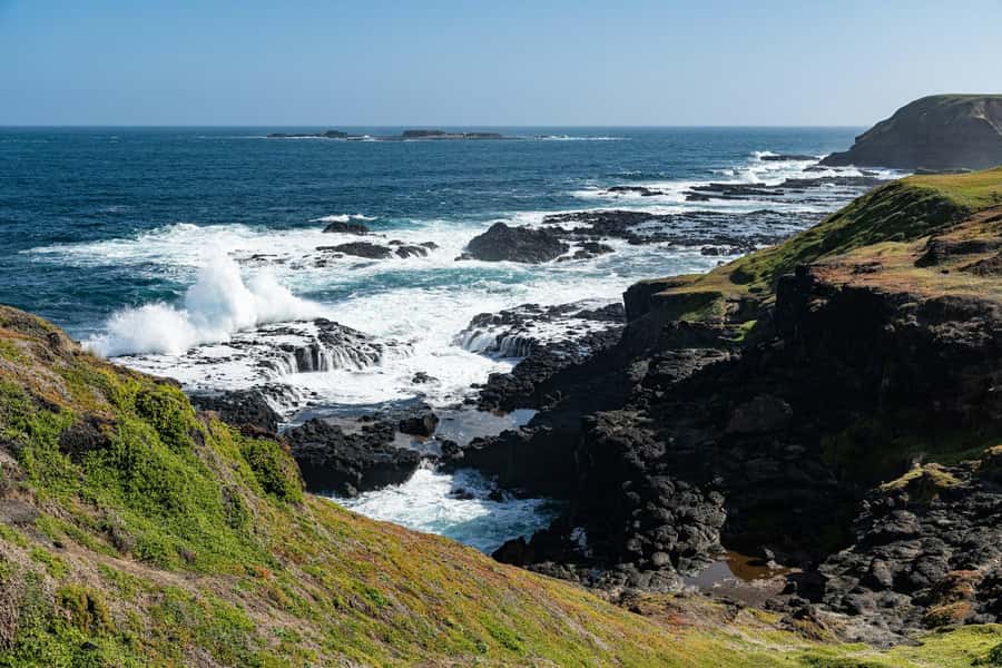 Melbourne: Penguin Parade & Phillip Island Scenic Day Tour - Why the penguin return is worth the long day