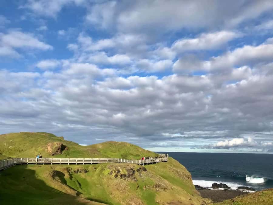 Melbourne: Penguin Parade & Phillip Island Scenic Day Tour - Cowes gives you a useful break