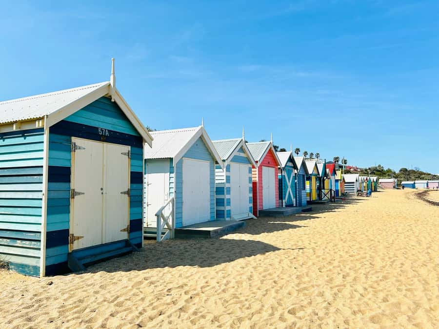 Melbourne: Penguin Parade & Phillip Island Scenic Day Tour - How the driver-guide affects the day