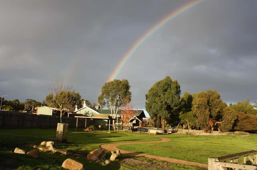 Melbourne: Penguin Parade Tour with Puffing Billy Train Ride - Coach travel and the practical rhythm of the day