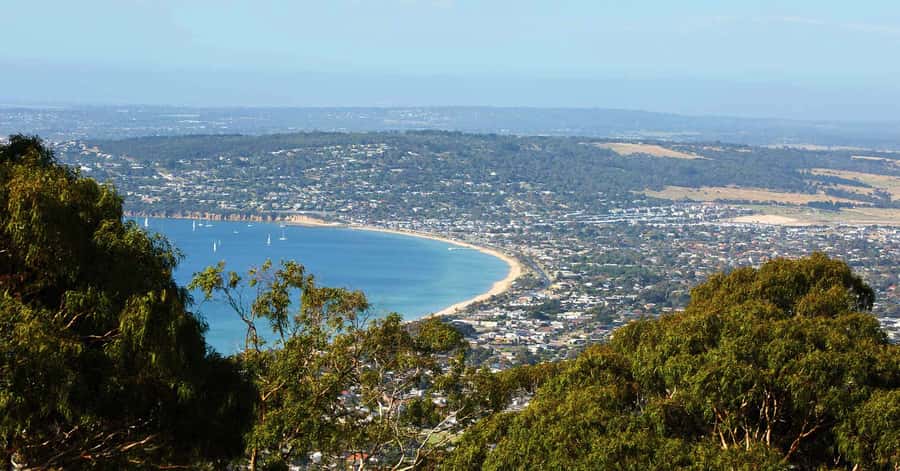 Melbourne: Peninsula Hot Springs with Lunch and Wine - Green Olive Estate turns lunch into the winery stop
