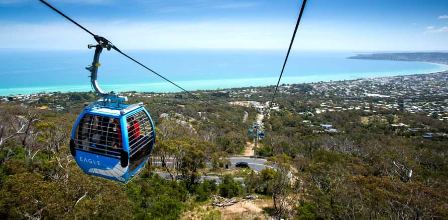 Melbourne: Peninsula Nature Private Day Trip with Dinner - An Australian picnic dinner above the peninsula