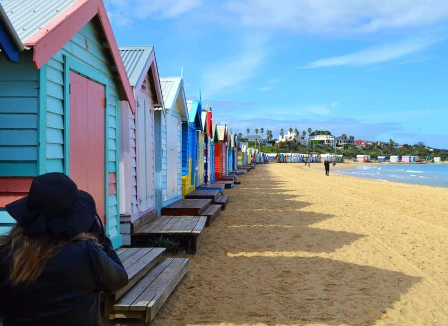 Melbourne: Peninsula Sightseeing Driving Day Tour - Starting at Albert Park and the Formula 1 circuit