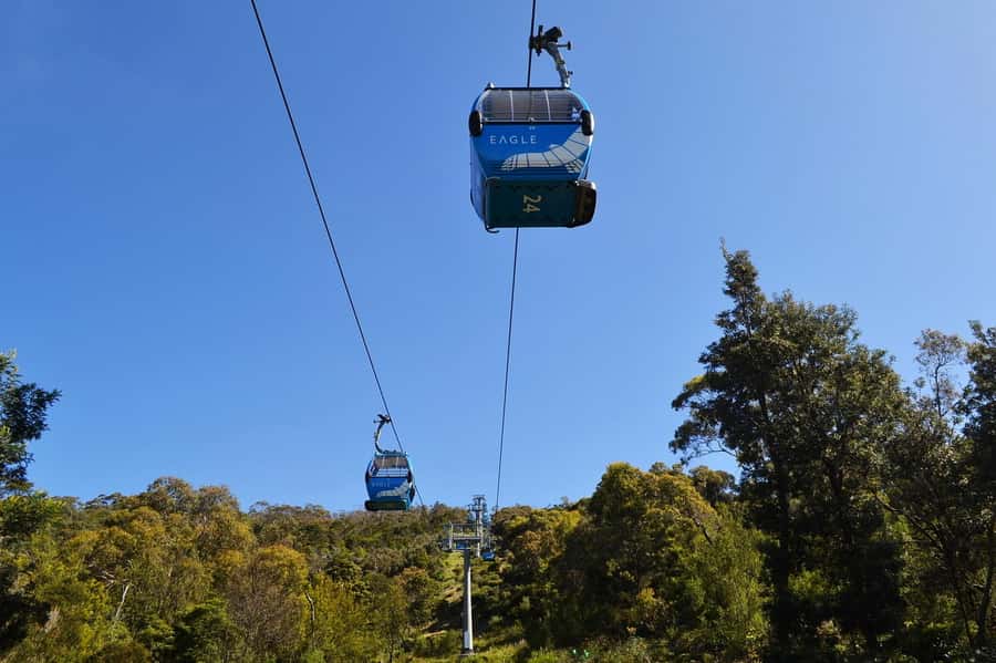 Melbourne: Peninsula Sightseeing Driving Day Tour - What the private vehicle changes