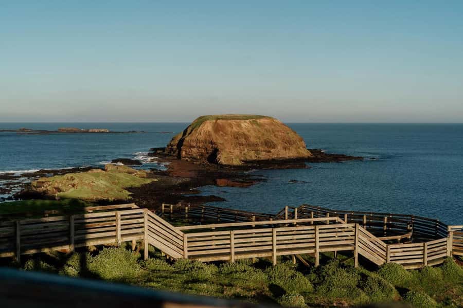 Melbourne: Phillip Island Penguin Parade Watching Day Tour - Is $88 good value for this Phillip Island day?