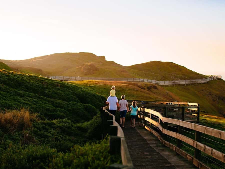 Melbourne: Phillip Island Private Trip, Penguin and Wildlife - From Melbourne CBD to Phillip Island